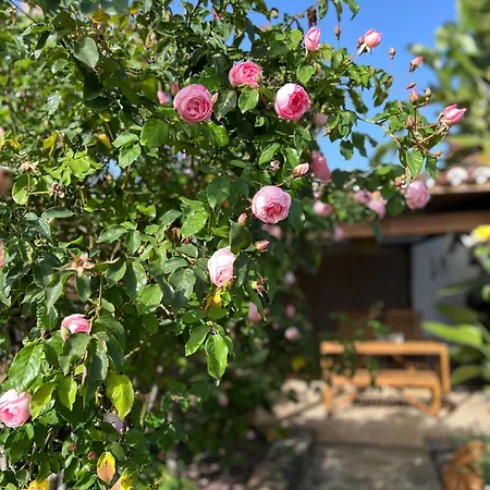 La Paredita Casa Taoro Holiday home *